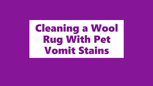 cleaning a wool rug with pet vomit