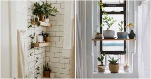 Bathroom Plant Shelves