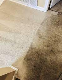 carpet cleaning in euless tx