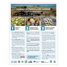 A Field Guide To Hawai I S Coastal Organisms Algae And Invertebrates
