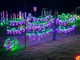 bellevue botanical garden d lights