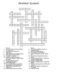 All the answers have something to do with the subject of anatomy and the human body. Skeletal System Crossword Puzzle Teaching Resources
