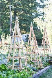 Diy French Tuteurs For The Garden She