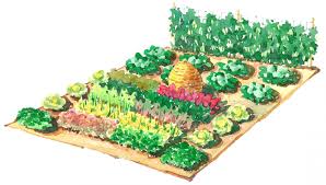 vegetable garden plan