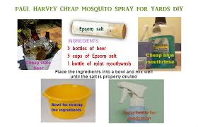 homemade mosquito yard spray is