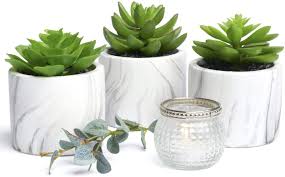 artificial succulents plants in pots