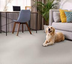 stainmaster petprotect unconditional