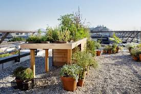 Hotels Growing Gardens In The City