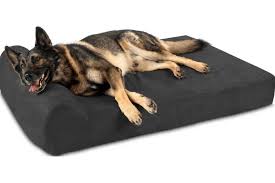 11 Best Dog Beds For German Shepherds