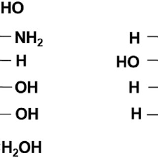 linear chemical structures of a