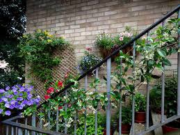 Vertical Gardening Ideas For Your Balcony