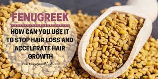 how to use fenugreek for hair loss