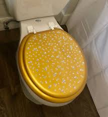 Hand Painted Toilet Seat Gold Decor
