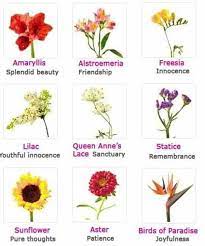 Whether you are picking out a flower bouquet for mother's the meanings and traditions associated with flowers have certainly changed over time, and if you have a apple/mac computer etc, you can click on the picture and drag it to your desktop. Types Of Flowers And Their Meanings Free Reference Images Flowers Names And Pictures Flower Meanings Flower Names