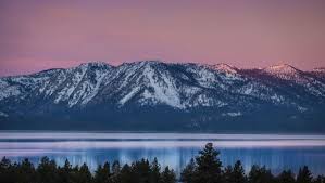 Predicted snowfall, skiing conditions and weather over the next week for the american ski resort of lake tahoe. Health Officials Confirm California S 1st Plague Case In 5 Years At South Lake Tahoe