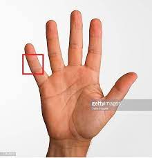 Ive got a hard lump on the first joint of my first finger, w pain in joints and fluttering swollen itchy knuckles burning in cuticle and finger joint right above testimonial knuckle replacement! Point Out Collusively In Addition To Articulatio Plana Issues Noninjury Pain Joint Pinky Finger