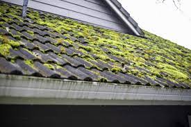 how to remove moss from roof bob vila