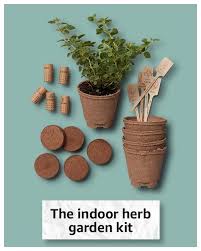 Organic Herb Garden Kit Indoor