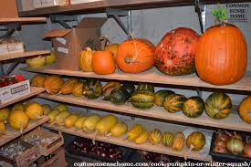 Image result for how to use a root cellar