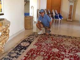 the lion carpet upholstery cleaning