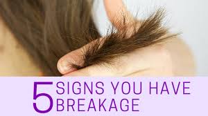 hair breakage problem