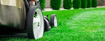 By being proactive, you make sure that your business. Learn These 5 Lawn Care Tips Diy