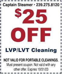 professional steam cleaner specials