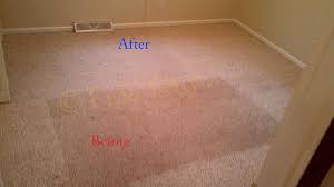 carpet cleaning charlottesville