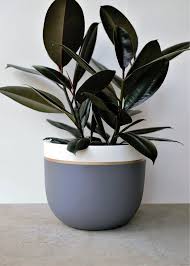 Get inspired by our extensive collection and turn your house into a green home. Grey White Gold Planter Pot Indoor Outdoor Modern Planter Pots Indoor Gold Planter Plant Pot Diy
