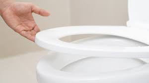 replacing your toilet seat