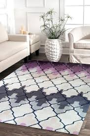 hand tufted rug from rugs