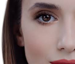 perfect365 ai makeup app virtual