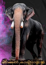 kerala elephants high resolution hd