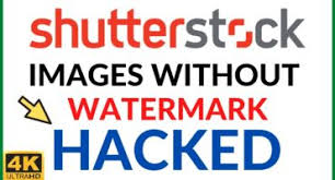 shutterstock image for free archives