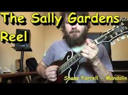 the sally gardens irish reel mandolin
