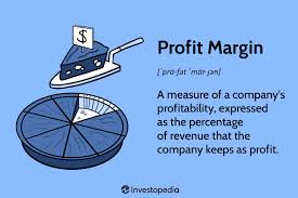 profit margin definition types uses