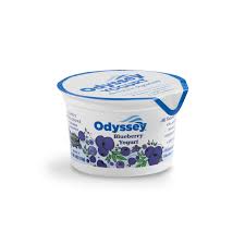 blueberry yogurt odyssey brands