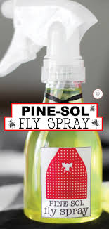 pine sol fly spray for keeping flies away
