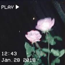 May 17 2020 variety of aesthetics to use as a theme with your spotify. Spotify Cover Roses Grunge Aesthetic Aesthetic Grunge Wallpaper Iphone Tumblr Grunge
