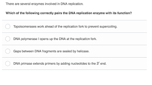 Letter b worksheets for toddlers. Dna Replication Practice Khan Academy