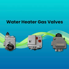 gas valve 101