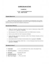 How to Write A Winning Resume Objective  Examples Included     Pinterest