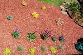 creating a planting bed and choosing