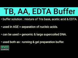 tae buffer preparation of tae buffer