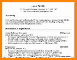 Professional Summary Resume Examples Customer Service Resume Resume
