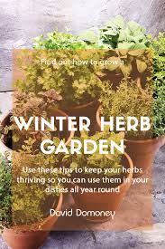 how to grow a winter herb garden and
