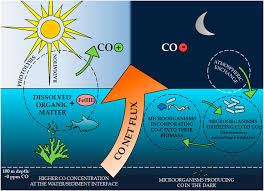 Carbon Monoxide Fate In The Environment