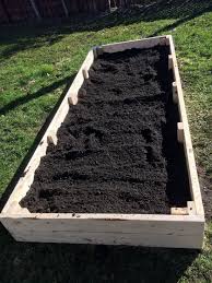 Build And Care For A Raised Garden Bed