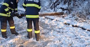Copaci căzuți pe carosabil pe drumurile din Arad. Este Cod Galben de ninsori | adevarul.ro