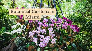 13 beautiful botanical gardens in miami